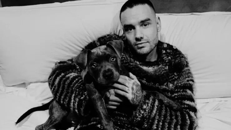 Liam Payne fan