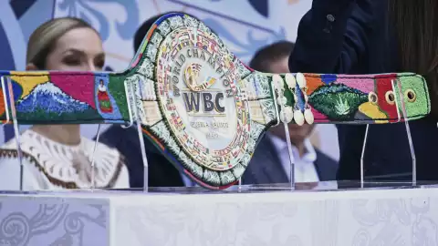 cinturon especial canelo ryder box