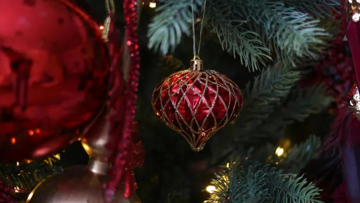 ¿Cuándo hay que poner el árbol de Navidad si es un pino natural El día idea