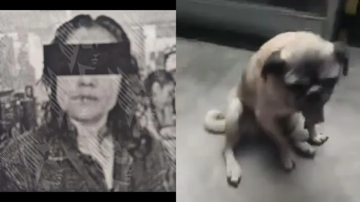 procesan-mujer-golpeo-perro-pug-puebla.jpg