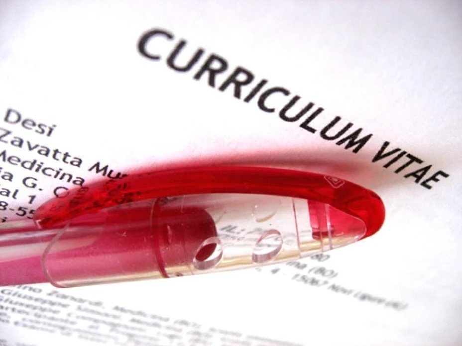 Ladrón currículum