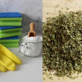 /estilo-de-vida/bicarbonato-con-oregano-para-que-sirve-por-que-recomiendan