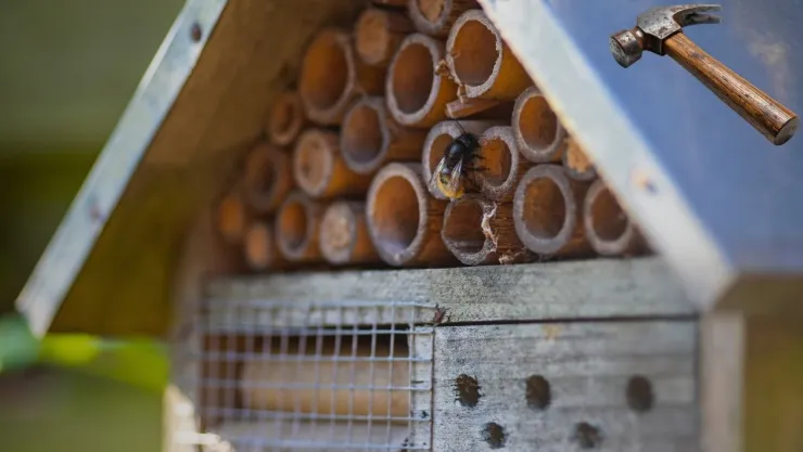 Ideas DIY Cómo construir un hotel de insectos benéficos con restos de maderas y cañas.jpg