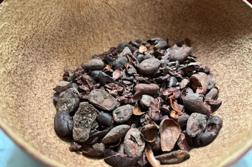 chocolate-en-México-como-ha-crecido-la-industria