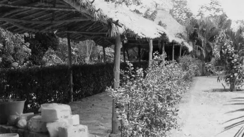 AEROPISTA PUERTO JUAREZ AVENIDA KABAH CANCÚN 4.png