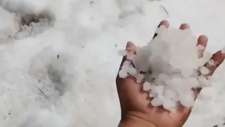 ¡León se tiñe de blanco! Usuarios captan este inesperado fenómeno (VIDEO).jpg
