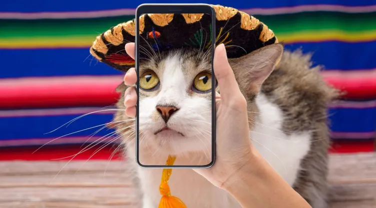 15 de septiembre Los mejores memes para festejar el Día de la Independencia de México
