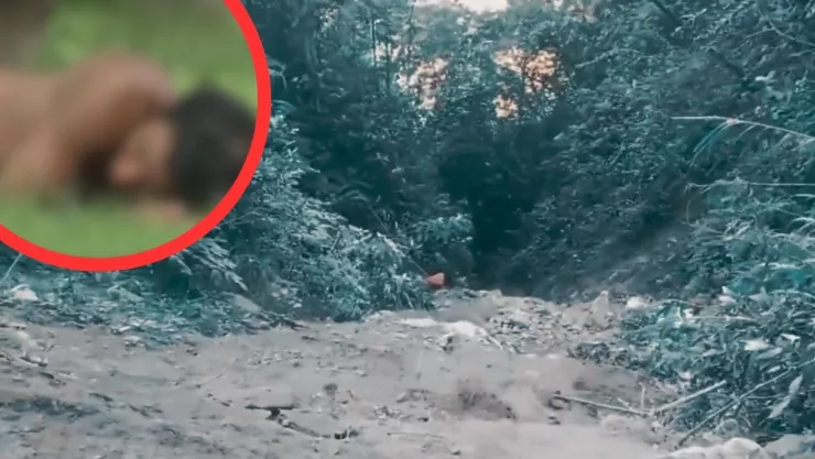 Tragedia en India: camión con albañiles cae a barranco y deja 18 muertos en India