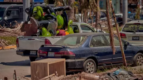 Ranitas de Sr. Frogs