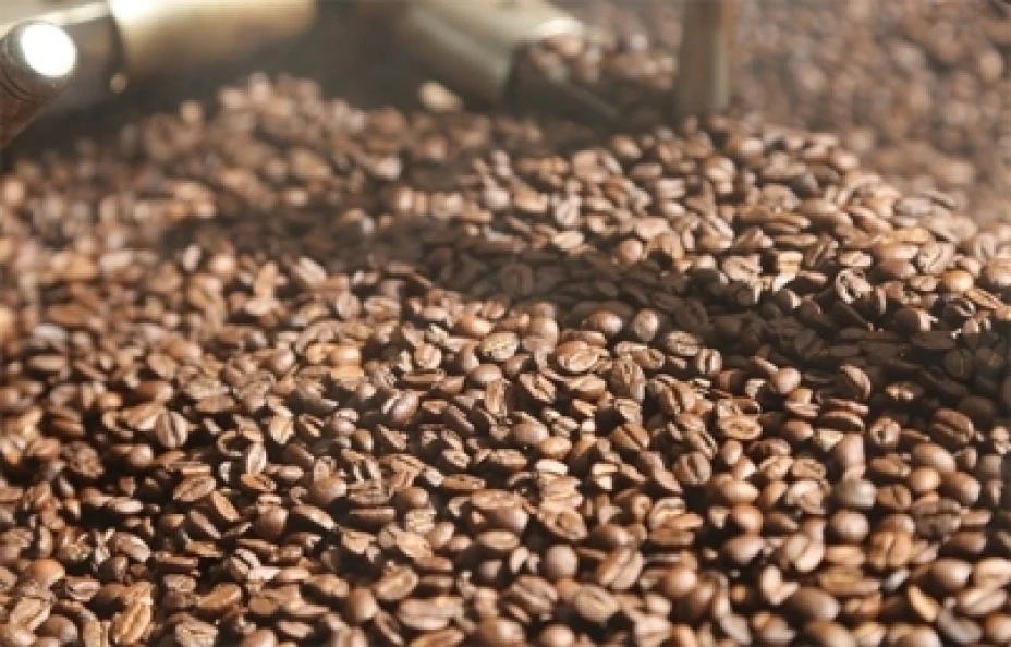 Producción de café