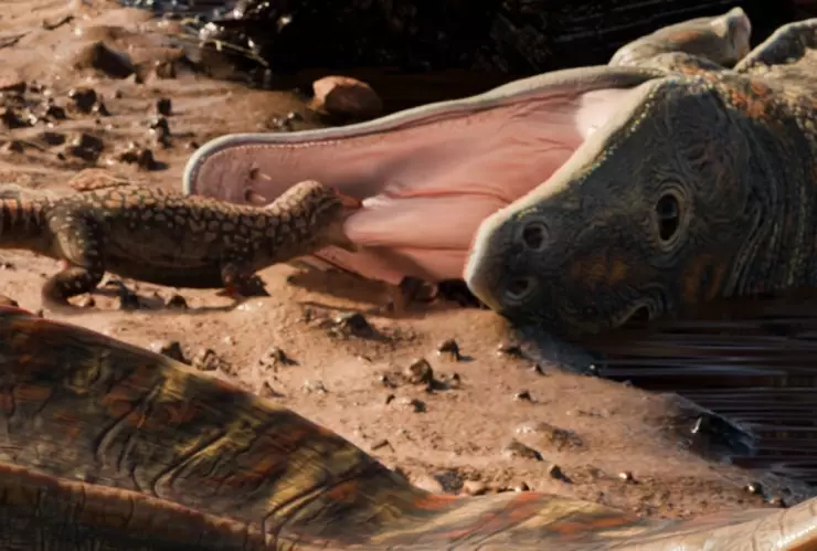 Científicos de la Universidad Federal do Pampa hallaron fósiles de una especie más antigua que los dinosaurios