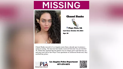 El folleto de la desaparición de Chanel Banks.