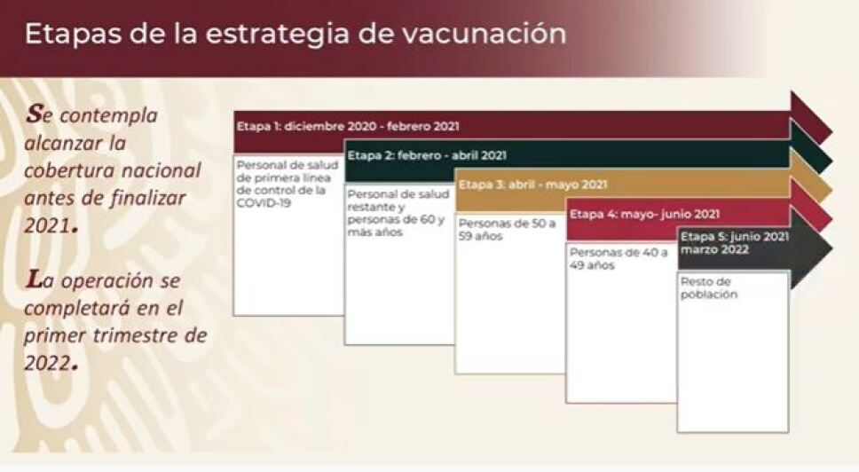 etapas-campaña-vacunacion.jpg