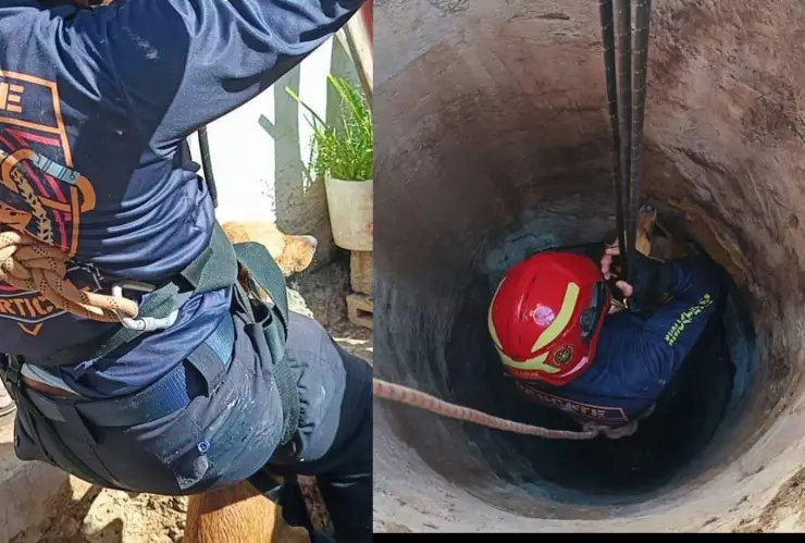 Perrita CAE dentro de pozo en Tizimín y la policía va en su auxilio; así se vivió el rescate