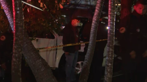 MUERTOS CHOQUE CONTRA ÁRBOL.jpeg