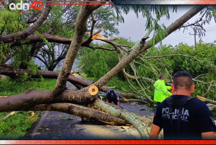 Roslyn se degradó a tormenta tropical
