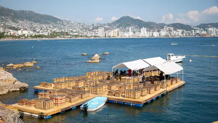 Gala de Pirotecnia Acapulco