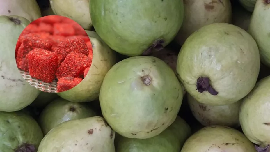 Los icónicos dulces de guayaba de Calvillo, ¿qué son y dónde puedes conseguirlos