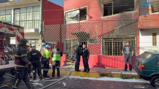 mueren perritos en incendio.jpg