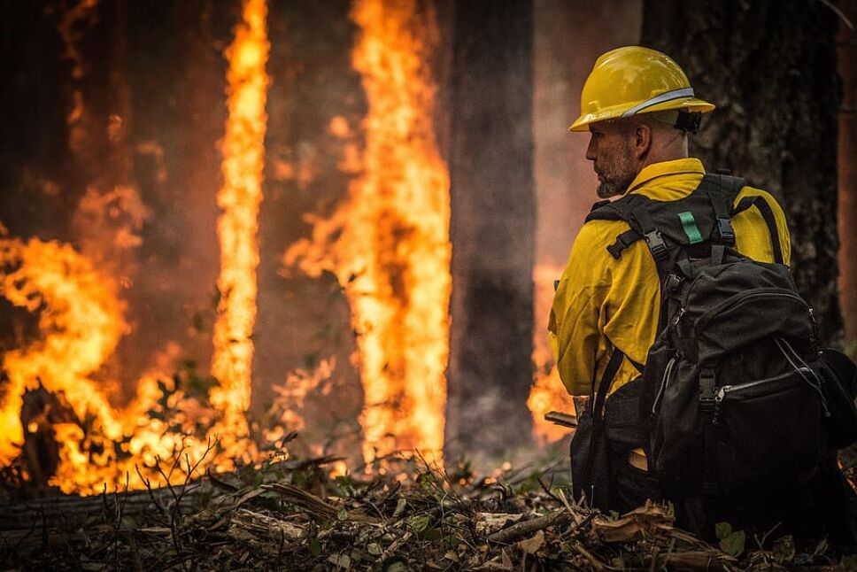 Australia, incendios, 2020 b.jpg