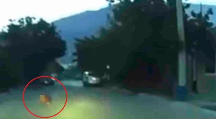 Bebé gatea en calle de Nuevo León y conductor evita atropellarlo milagrosamente