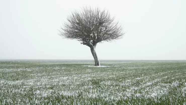 Lluvia engelante en Zacatecas ¿Qué es y cuál es la probabilidad de que ocurra en enero 2026