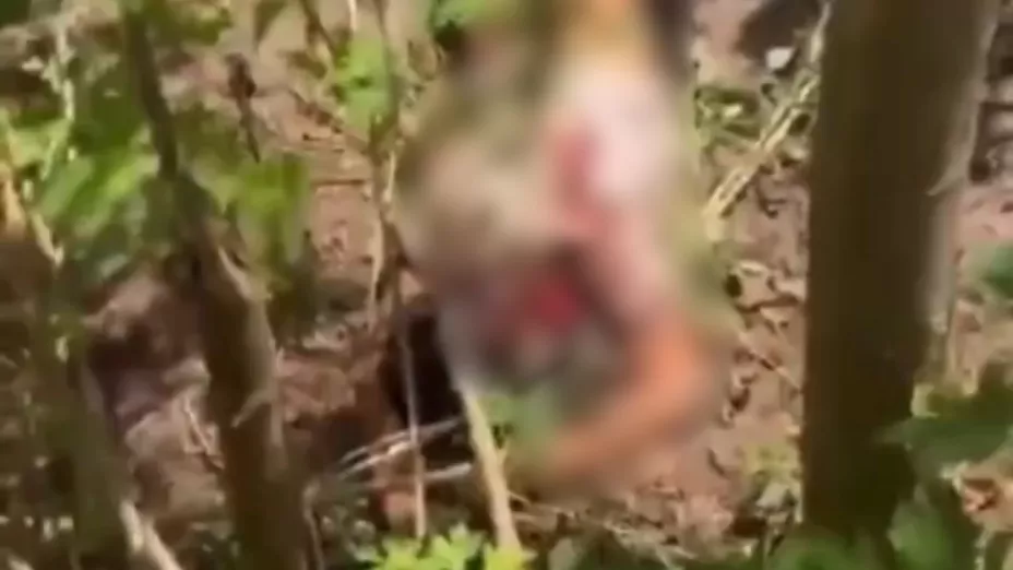 Filtraciones en redes muestran el momento posterior a la tragedia