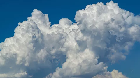 El texto del párrafo.jpg