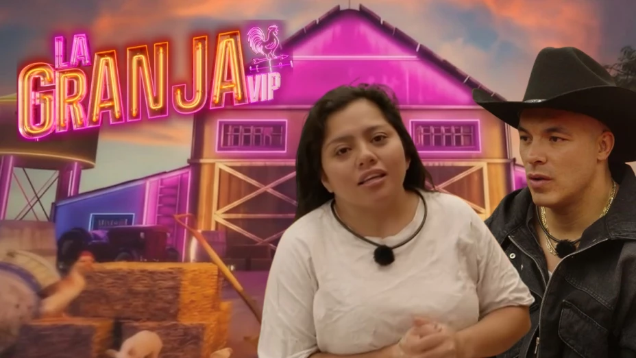 jawy-bea.jpg