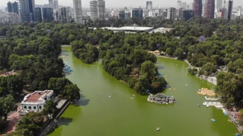 Bosque-de-Chapultepec.jpg