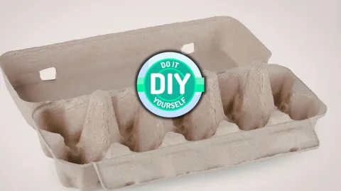 /estilo-de-vida/carton-de-huevos-ideas-reutilizarlo-hogar