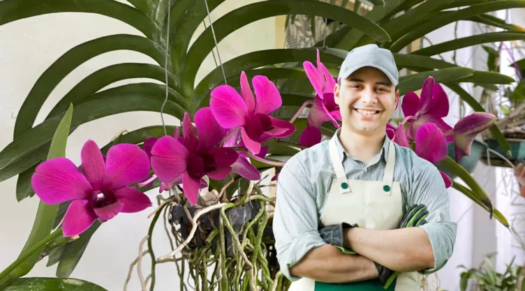 Qué tipo de macetas debes usar en tu orquídea para evitar que se pudran las raíces