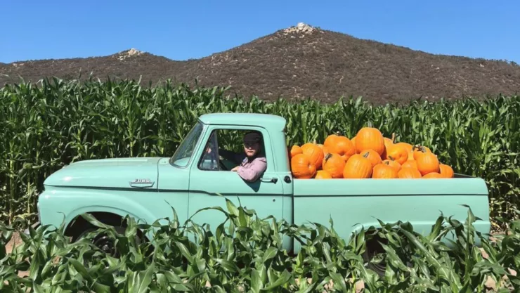 Temporada de calabazas llega a la Ruta del Maíz en Tijuana.jpg