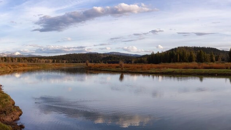 Río ameba come cerebros.jpg