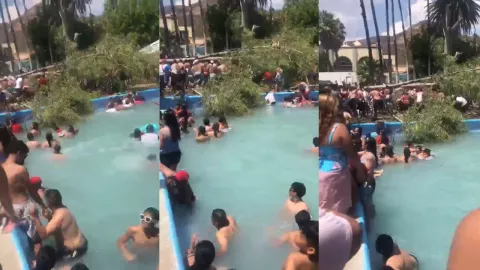 Árbol cae en balneario