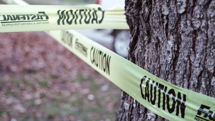 Cinta de precaución atada de tronco de árbol.