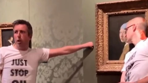 Activistas Vermeer.jp