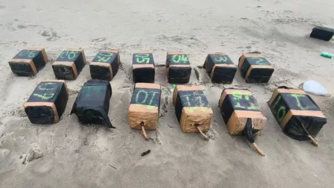 Sedna asegura aeronave con más 500 de kilos de cocaína