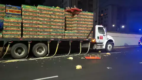 CAMIÓN CON POLLOS1.jpeg