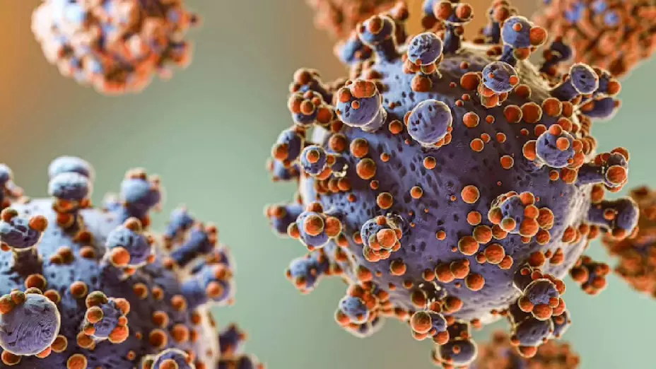 Hombre muere por brote de hongos en su trabajo; hay más hospitalizados