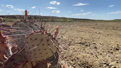 ¡Sequía 2022! Nueve meses sin lluvia en Chihuahua