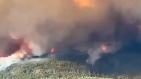 Destrucción en la Patagonia argentina tras incendios.png