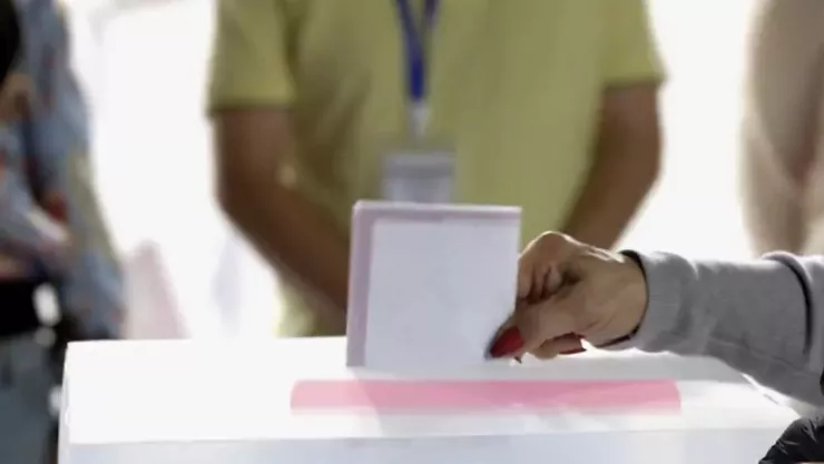 observador electoral Morena.