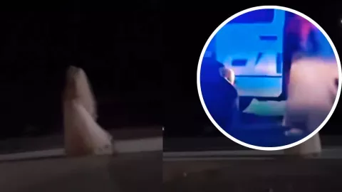 Policía detiene a La Llorono