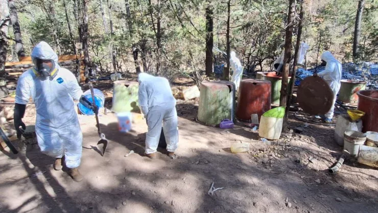 Laboratorios clandestinos en Culiacán