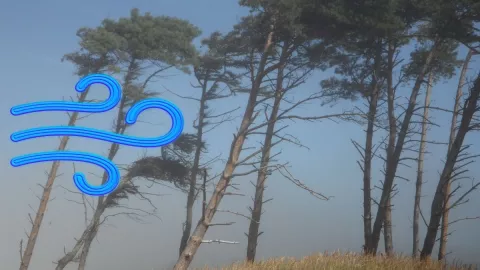 Frente frío 26 en Veracruz