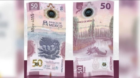billete ajolote lo tienes se vende