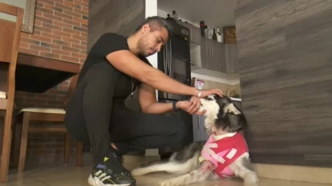 ecko perrita herida puebla.jpg