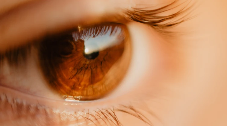 ojos marrones.png