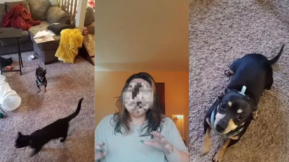 VIDEO:  Mujer se indigna porque su perro estadounidense solo entiende español